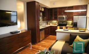 Kitchen Living Room at Gables Uptown Trail Apartments in Dallas TX Lux Locators Dallas Apartment Locators
